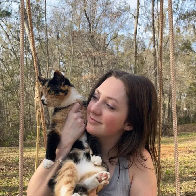 Your Cats New Best Friend