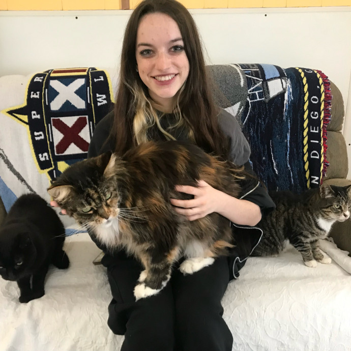 Molly O - Cat Enthusiast Molly O - Cat Enthusiast