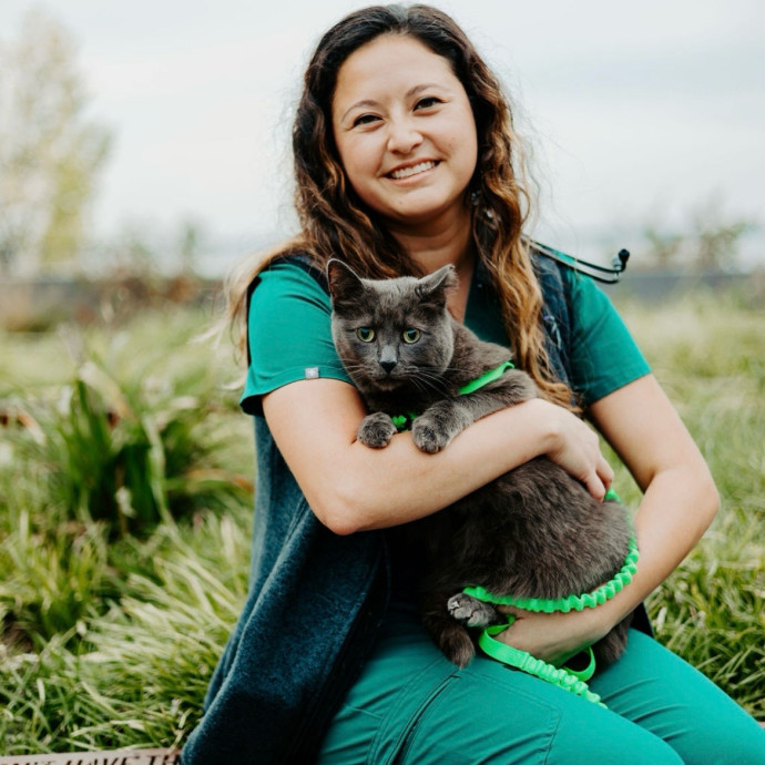 Purrfect Care By Haley Dvm Purrfect Care By Haley Dvm