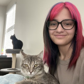 Cozy Care For Curious Kitties