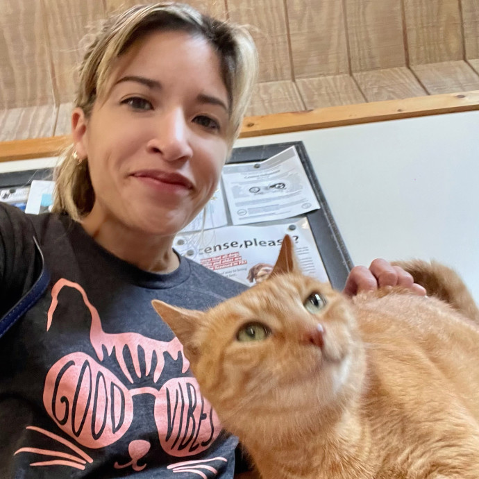 Cats Are The Best