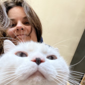 Slow Blinks And Full Food Bowl