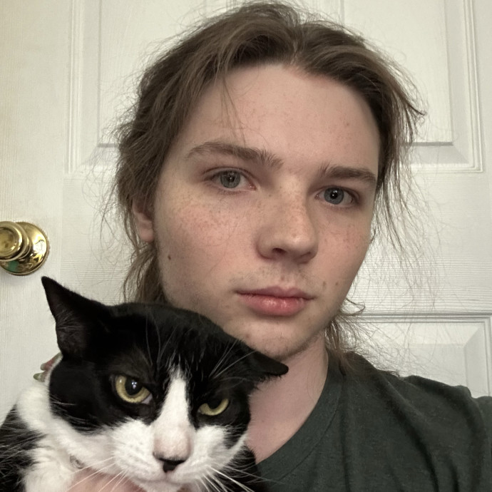 Cat Sitter