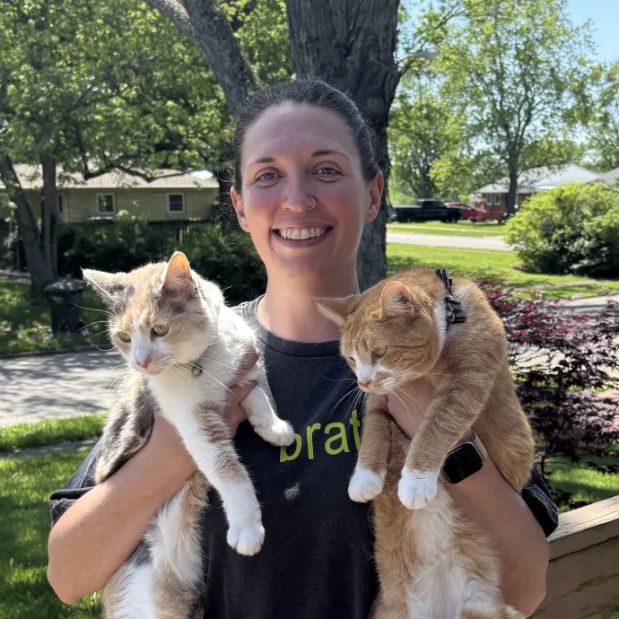 For The Love Of Toe Beans Cat Sitting