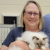 Cat Mama Extraordinaire