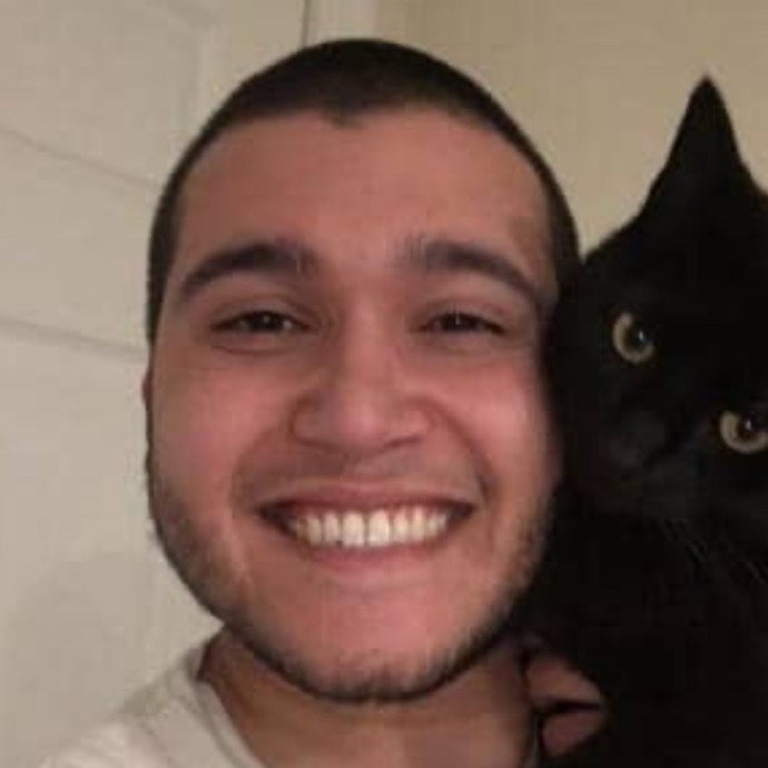 Cat Sitter Cat Sitter
