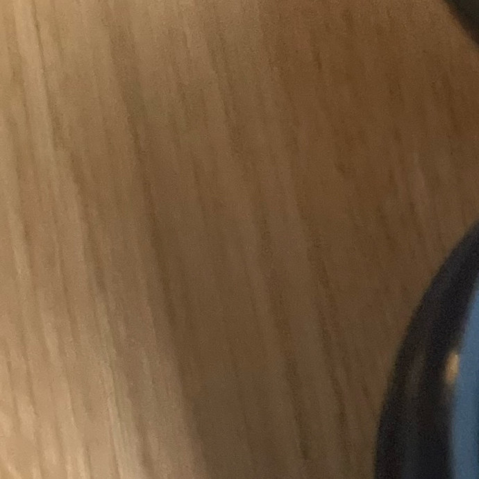 Cat Sitter Cat Sitter