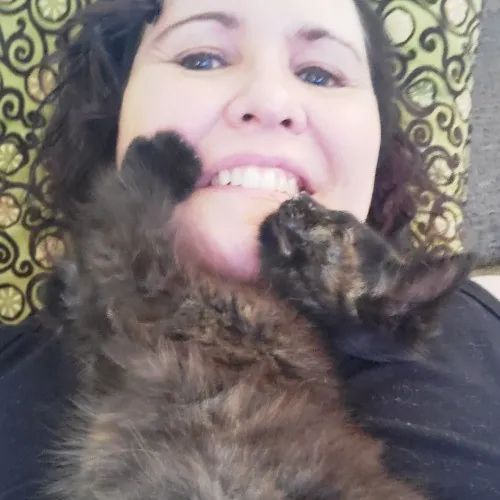 Smitten Kitten Cat Sittin' - Sara