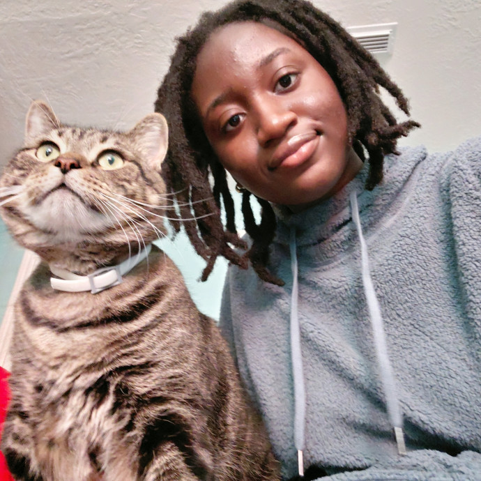 Calm And Reliable Cat Care You Can Trust