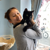 Cat Lover And Experienced Cat Sitter