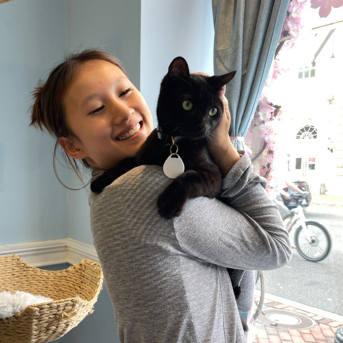 Cat Lover And Experienced Cat Sitter