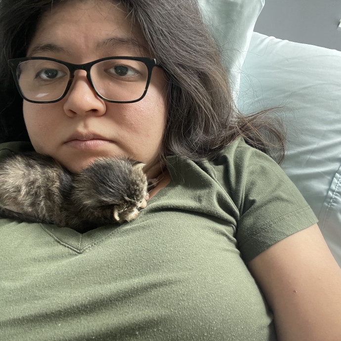 Tidy  Detail Oriented Cat Sitter