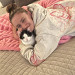Your Cats New Best Friend