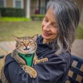 Cat Care With Love