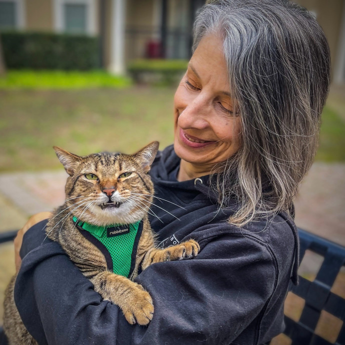 Cat Care With Love Cat Care With Love