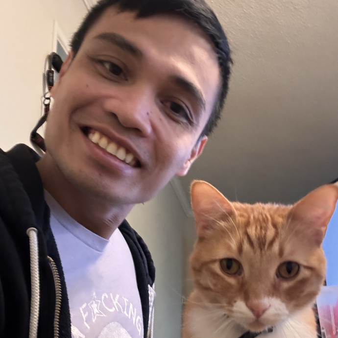 20 Years Caring For And Fostering Cats