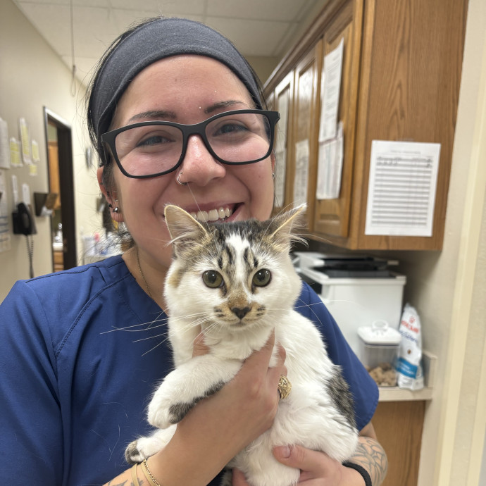 Feline Loving Vet Tech