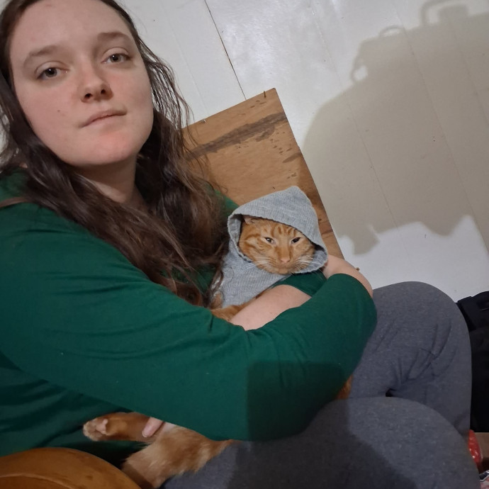 Mckenzie's Cat Sitting