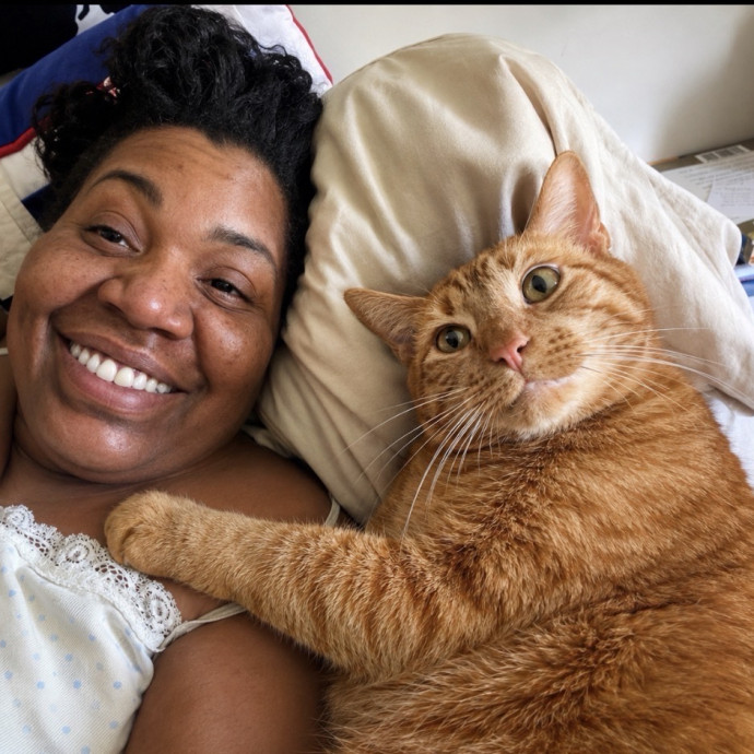 Your Cat's Home Away From Home