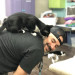 Super Cat Dad At Your Service