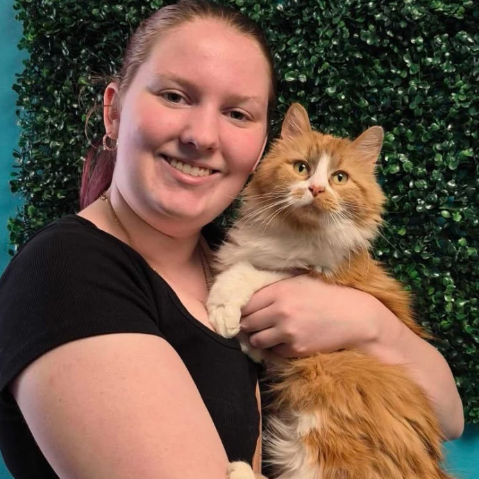 Qc Cat Lady