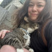 Cats Are Litter-Ally My Life