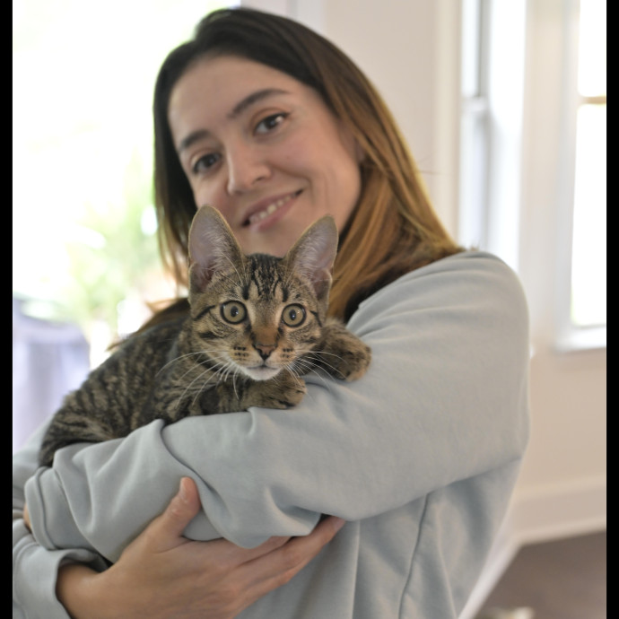Full-Time Cat Mom