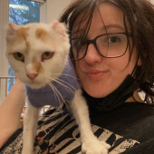Professional Cat Lady