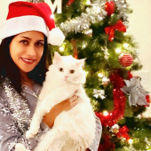 Meow Moments With Sara