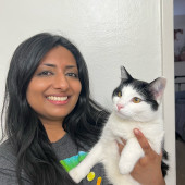 Solid Experience With Cats