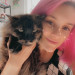 Purr-Fect Cat Care While You're Away