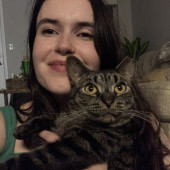 Cat Sitting With Patience  Care