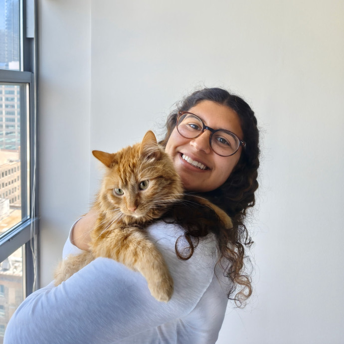 Playtime Treats Cat Naps Playtime Treats Cat Naps