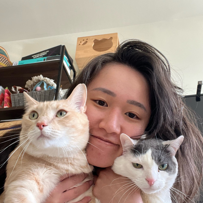 Professional Chonk Admirer Professional Chonk Admirer