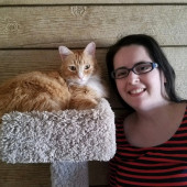 Loving Cat Care - Cuddles  Play