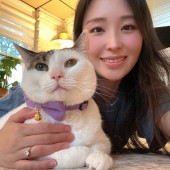 Calm Loving Cat Sitter