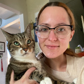 Cat Sitting In Your Kitty's Domain
