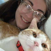 Crisp Kitter Cat Sitter