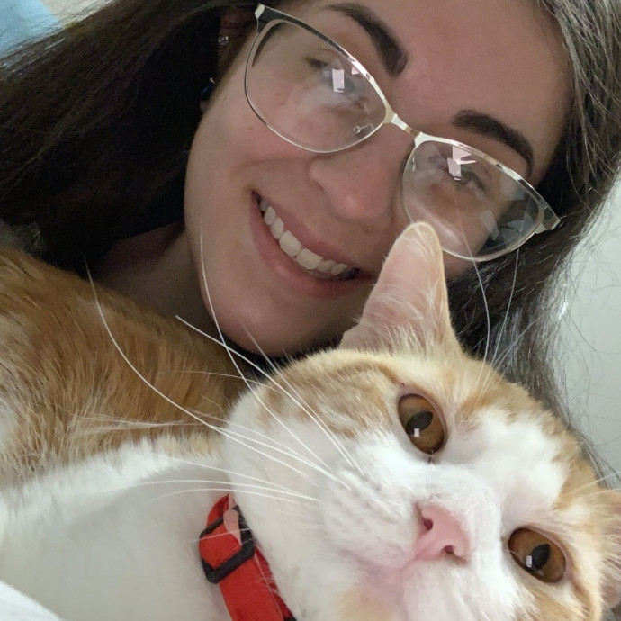 Crisp Kitter Cat Sitter Crisp Kitter Cat Sitter