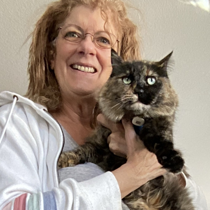 Where Your Cat Feels Right At Home