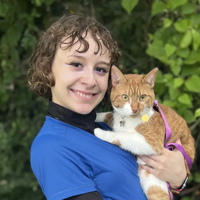 Experienced Cat Mom Of Four