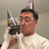Where Your Cats Can Feel Safe And Loved
