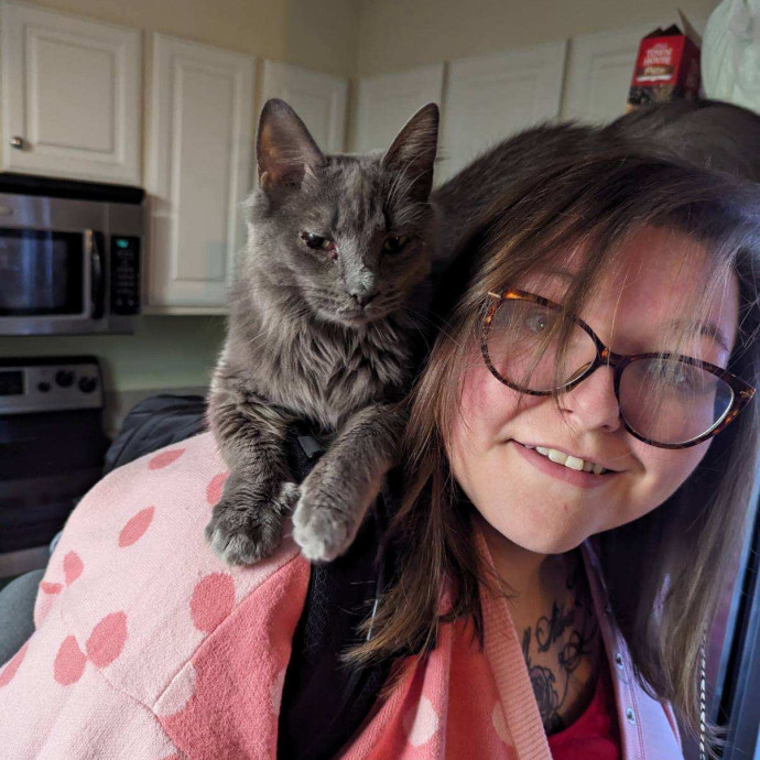 Veteran Cat Lover And Rescuer Veteran Cat Lover And Rescuer