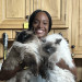 Lifelong Cat Lover Purrfect For Your Cat