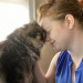 Julie's Purrfessional Cat Care
