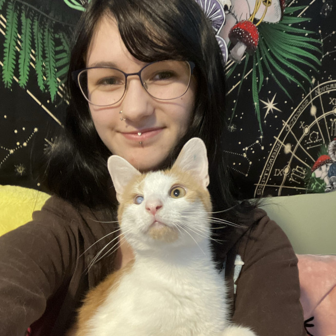 I Am A Lover And Owner Of Cats