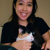 Calm And Attentive Cat Sitter