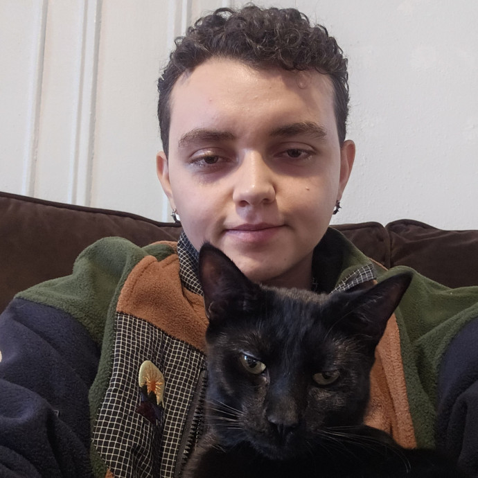 Calm Routine-Focused Cat Care