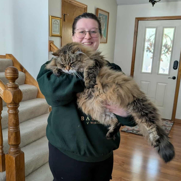 Dedicated Cat Sitter And Medication Specialist