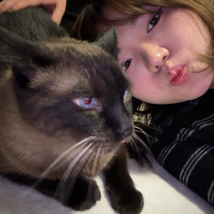 Cat Sitter Paid In Purrs
